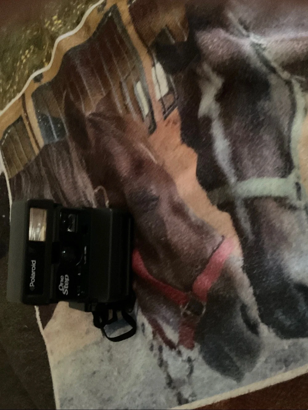 Polaroid Cameras and Chargers in Gray, Dark Gray, White